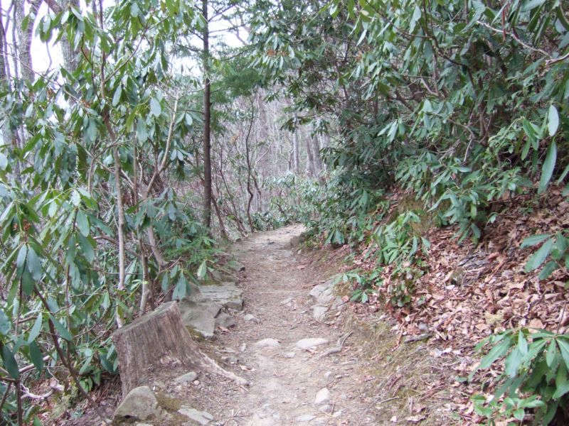 Hiking