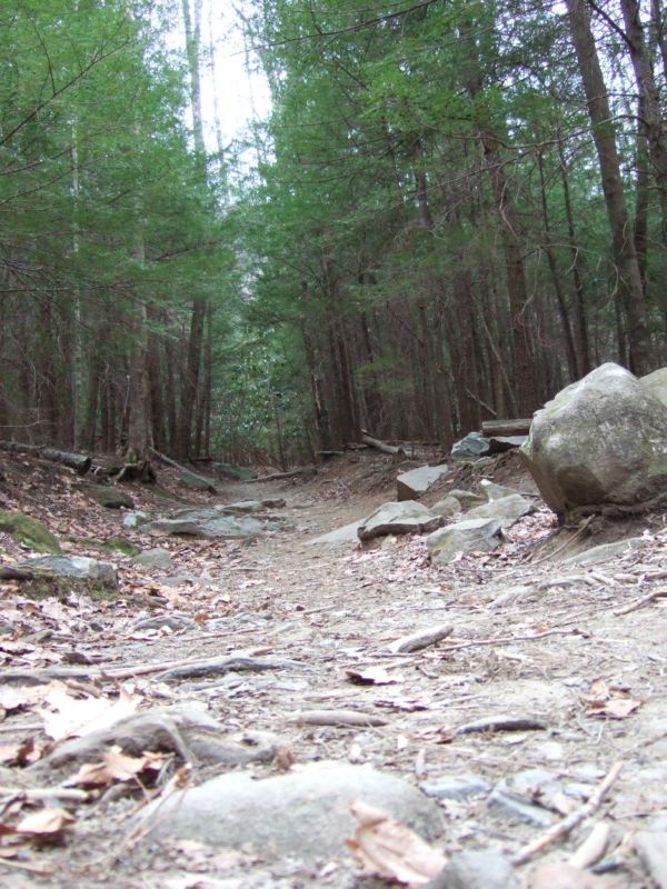 MoreHiking